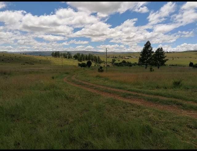 FARM FOR SALE IN LYDENBURG RURAL